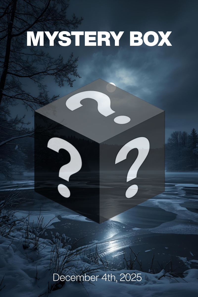 MYSTERY BOX Dec 4th, 2025: Textured Luxury at $79/$99 + Designer Shoes $30