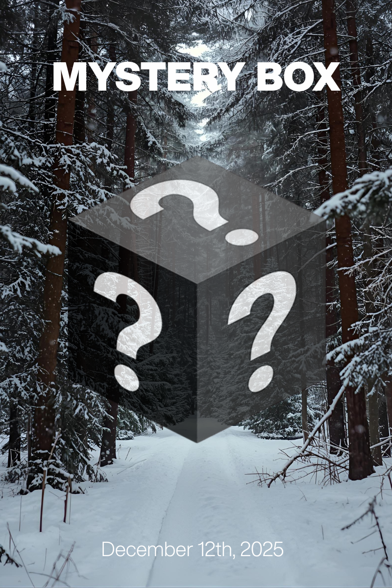 MYSTERY BOX Dec 12th, 2025: Winter Wonderland at $79/$99 + Designer Shoes $30