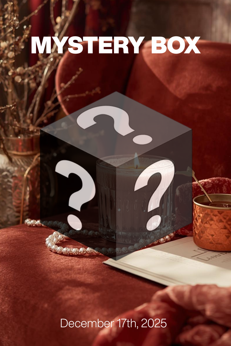 MYSTERY BOX Dec 17th, 2025: Velvet Season at $79/$99 + Designer Shoes $30