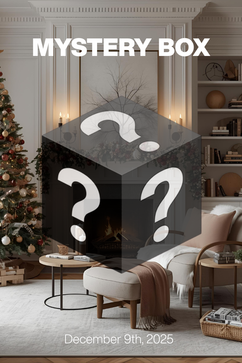 MYSTERY BOX Dec 9th, 2025: Holiday Party Elegance at $79/$99 + Designer Shoes $30