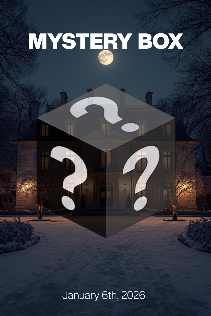 MYSTERY BOX Jan 6th, 2026: Midnight Silk at $79/$99 + Designer Shoes $30